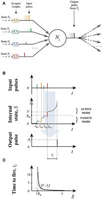 A Neuro-Inspired System for Online Learning and Recognition of Parallel Spike Trains, Based on Spike Latency, and Heterosynaptic STDP